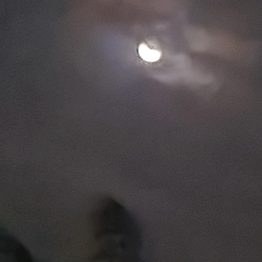 @恭喜发财