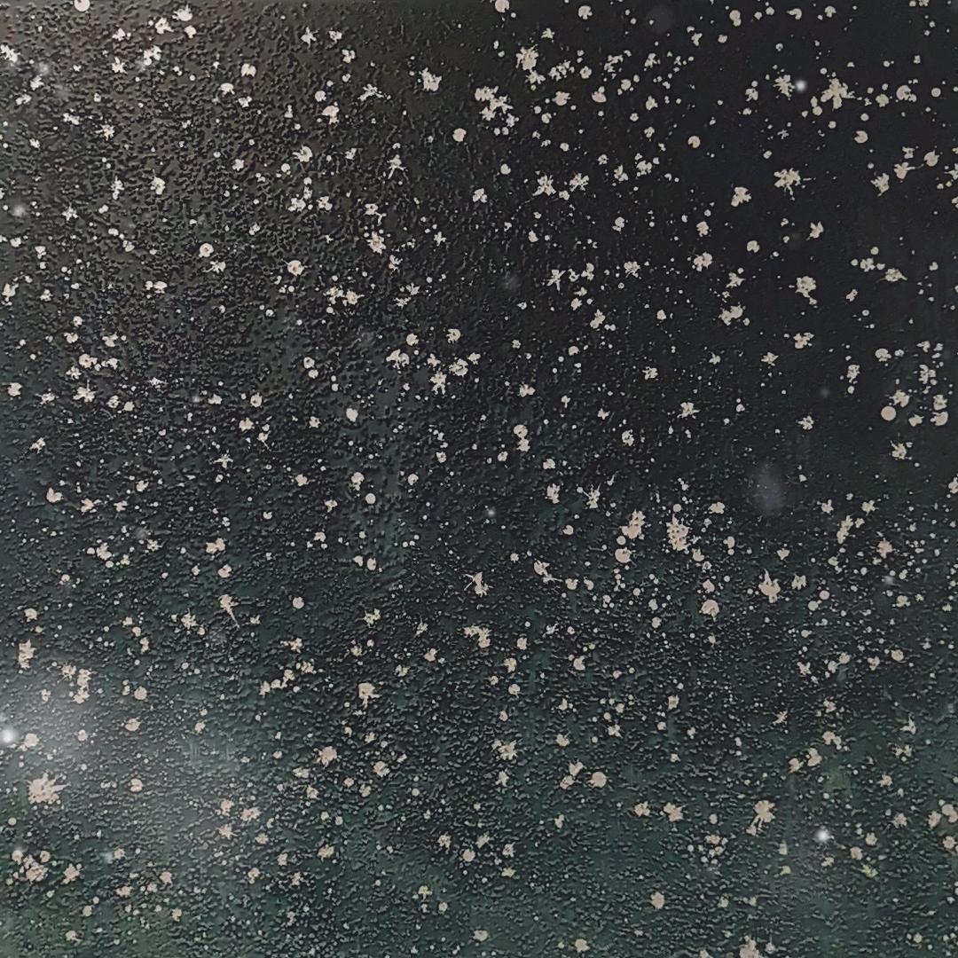 流云