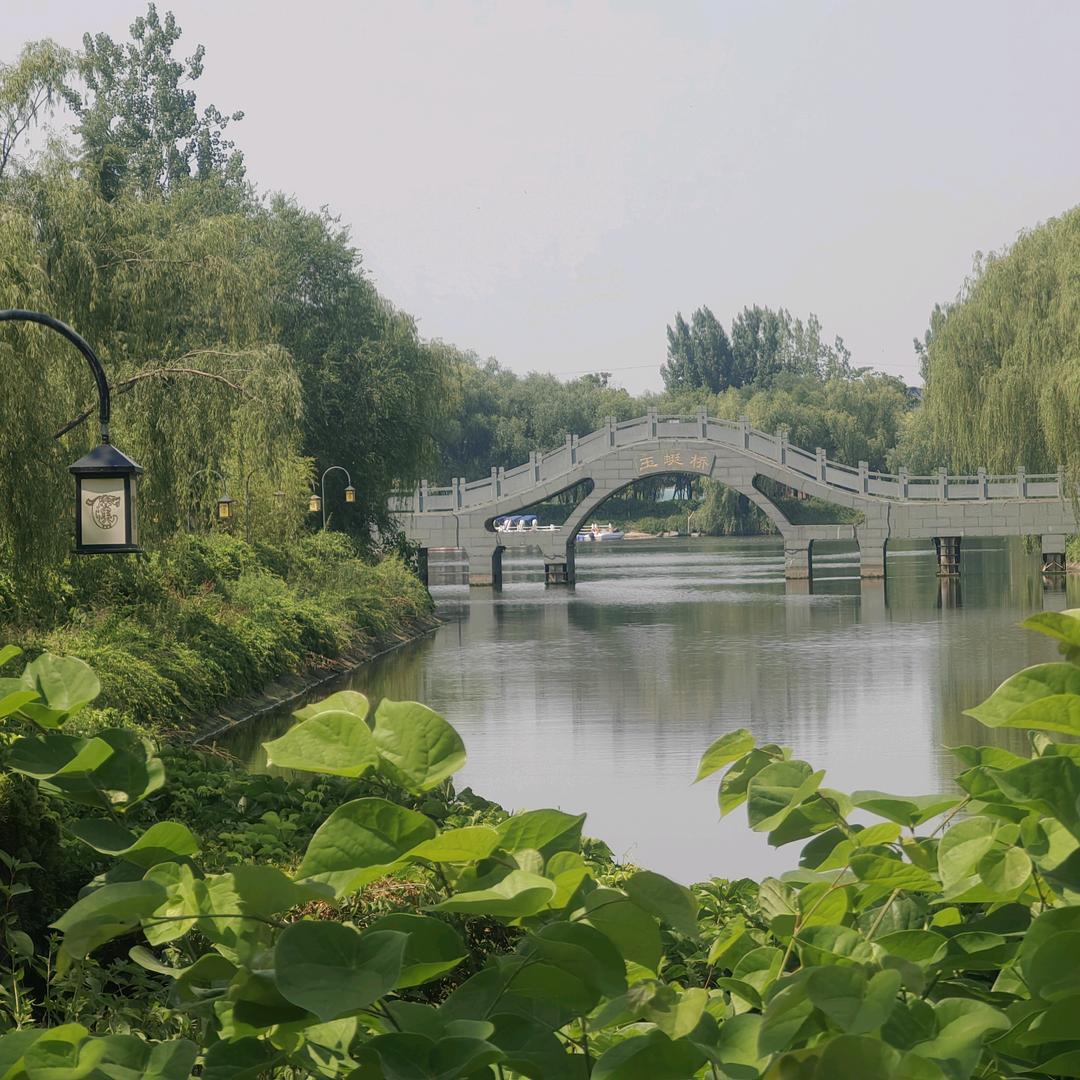 我要前行.是龙给我卧到.是虎给我座到！