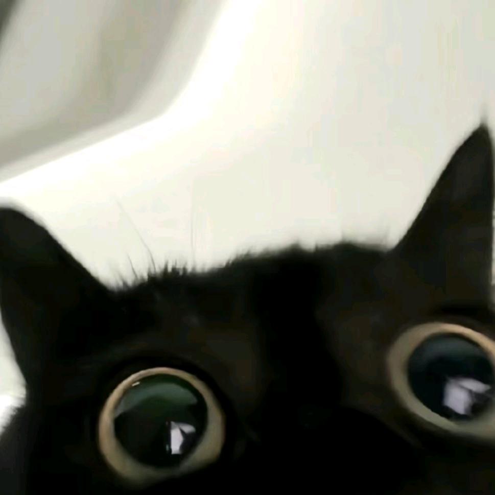 无时无刻不想发癫