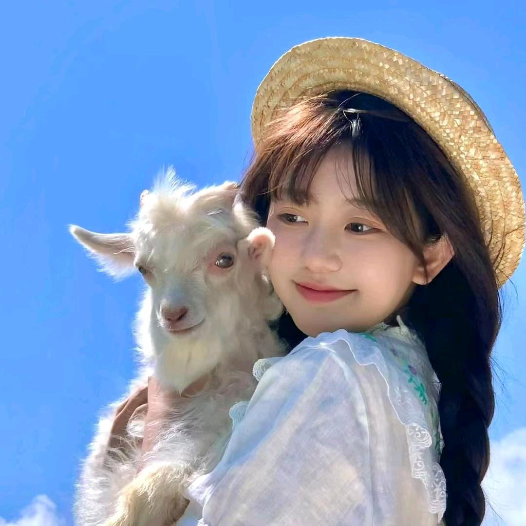 锦鲤少女