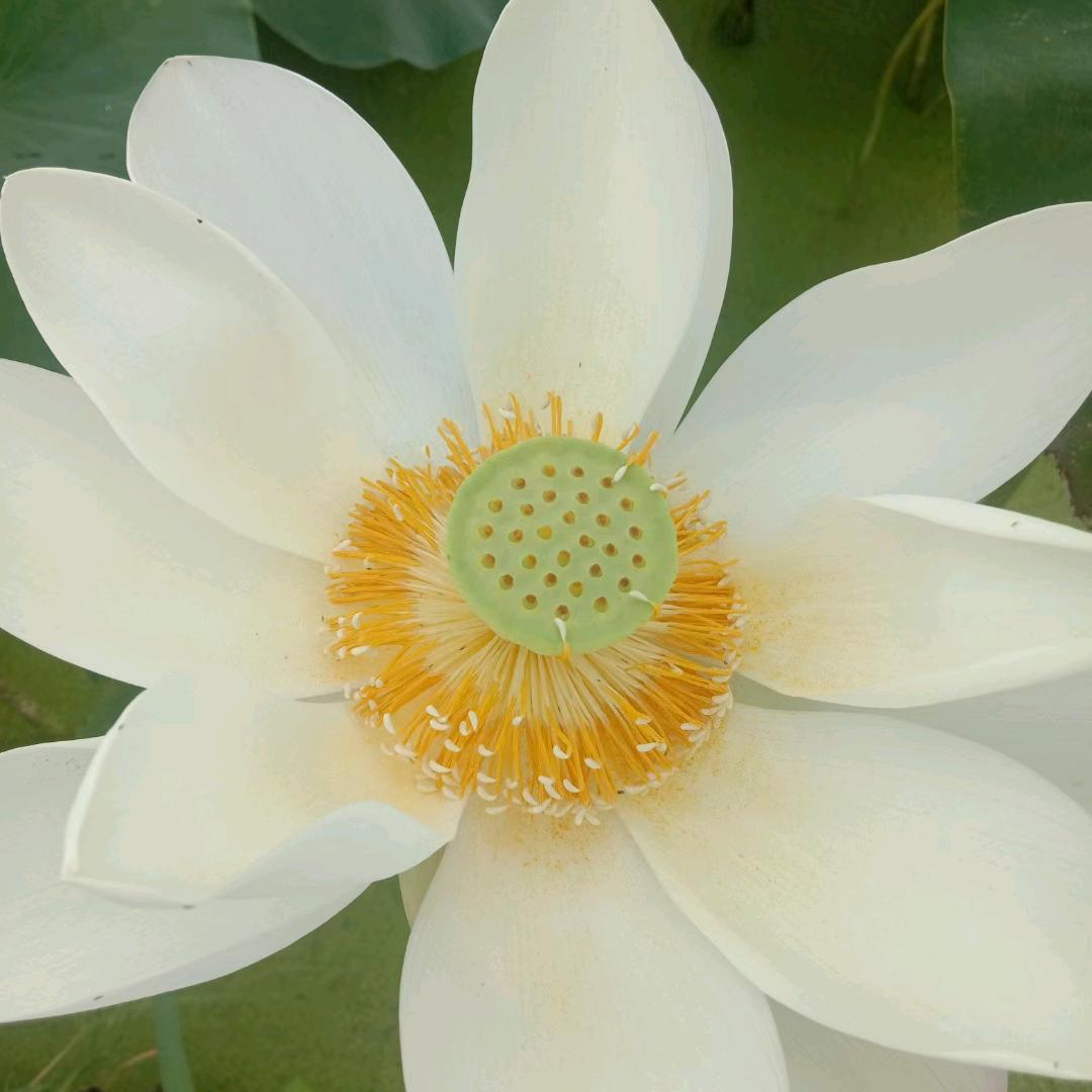 刘江