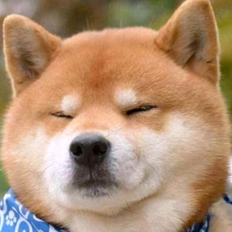 鹍