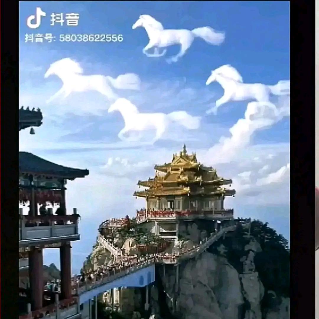 用户19894339头像