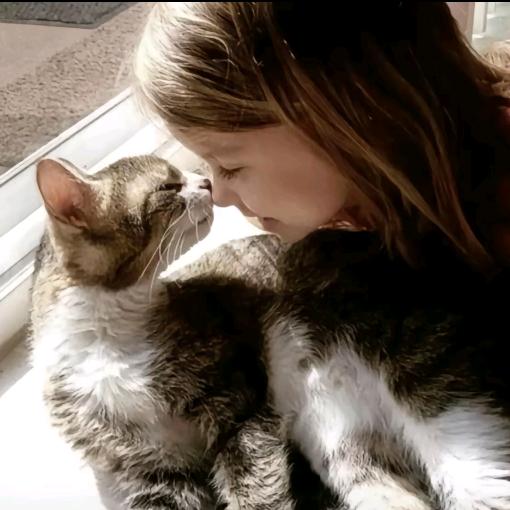 Cat mimi..