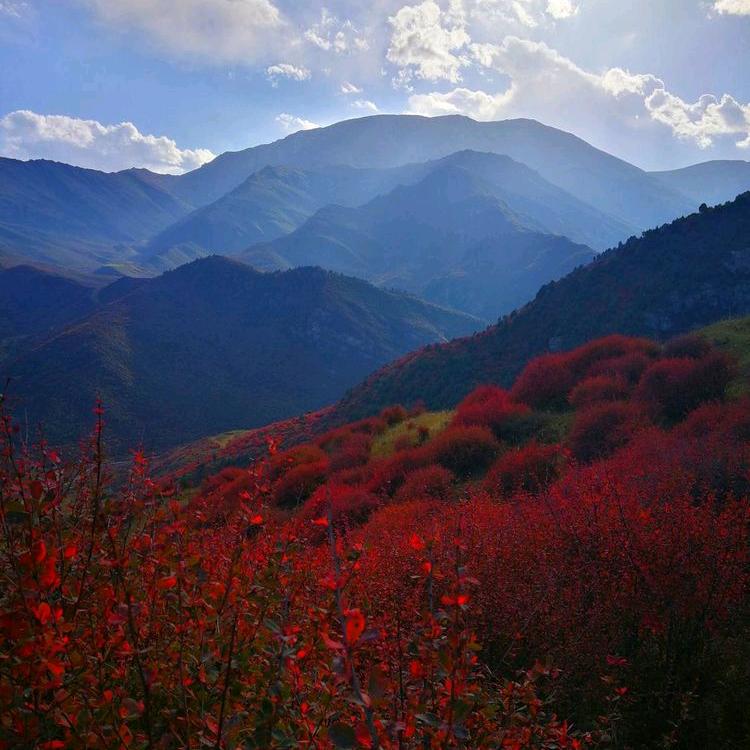 穗香纪自磨面粉坊