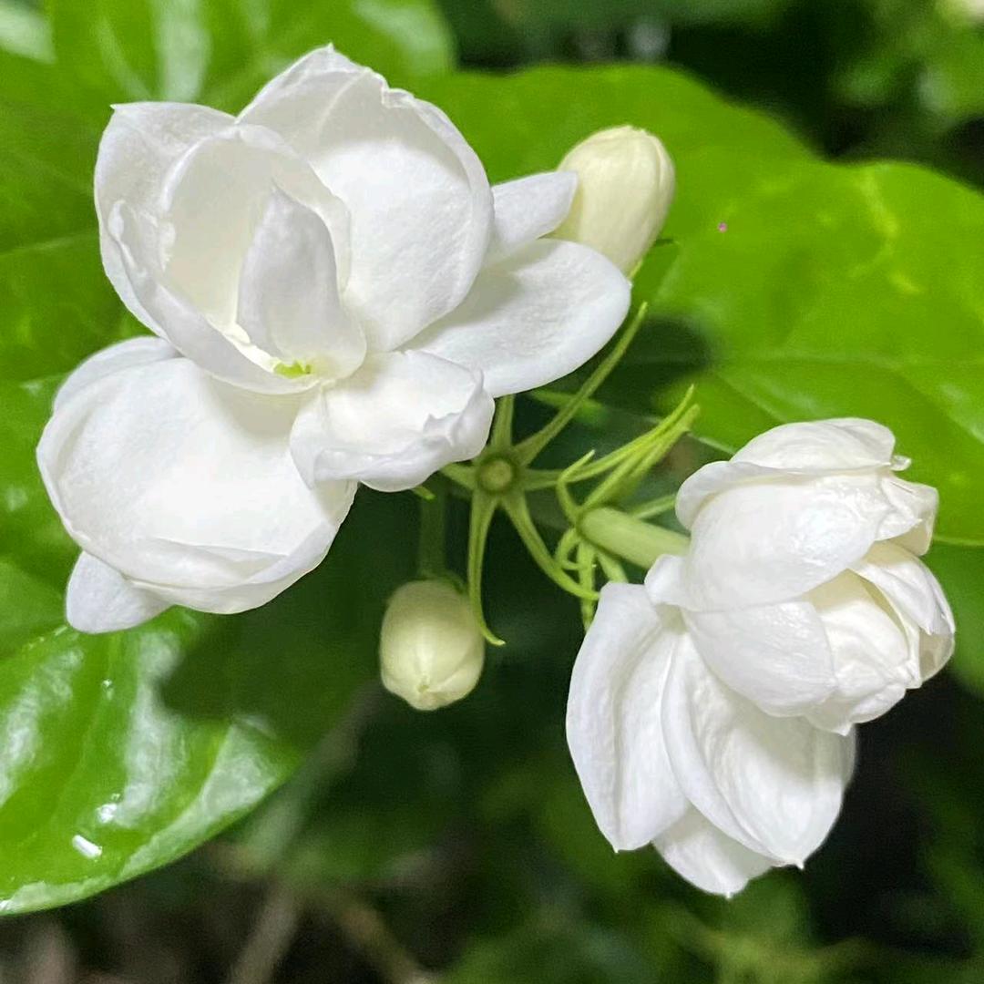 木木💫