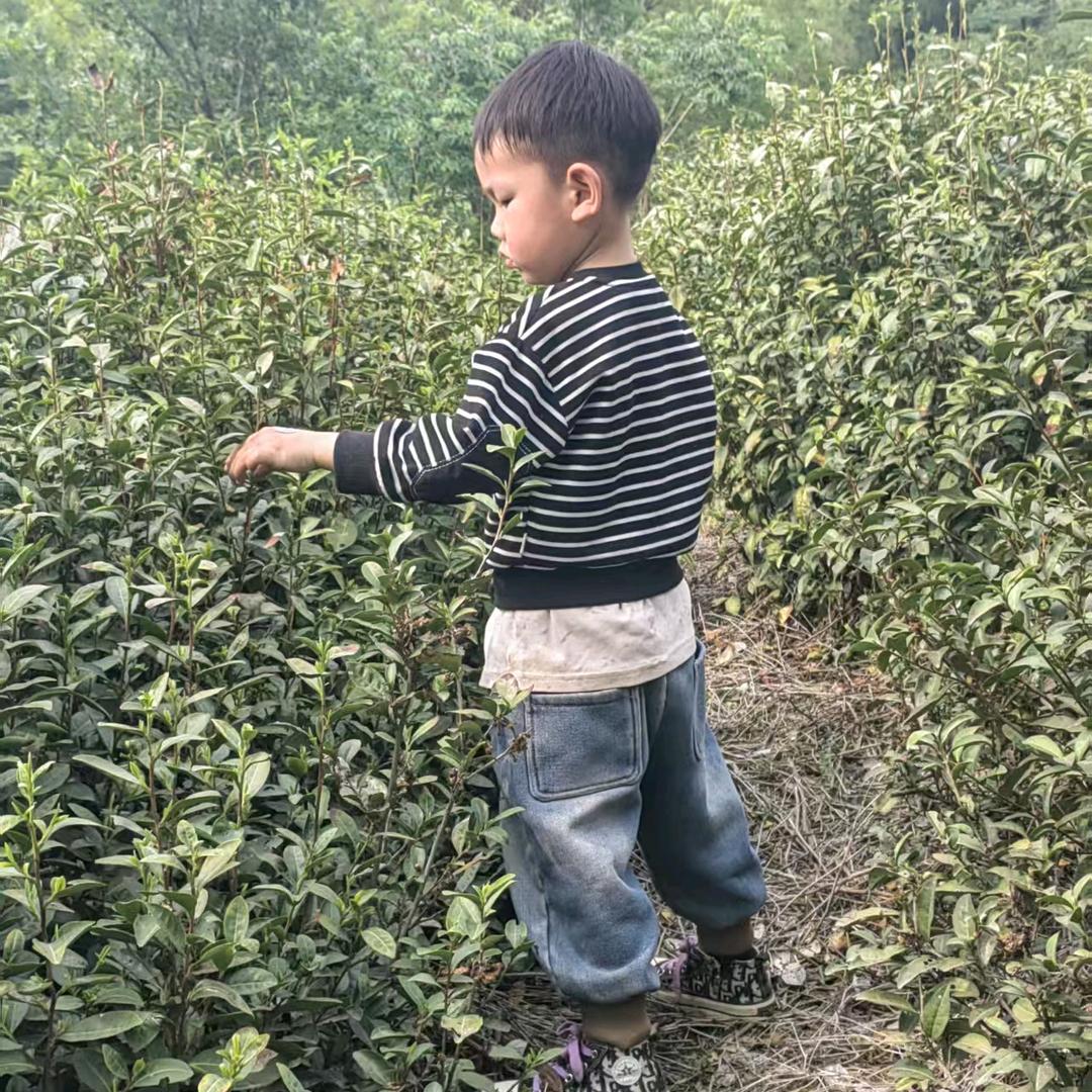 霸都。合肥，80后！人情味。