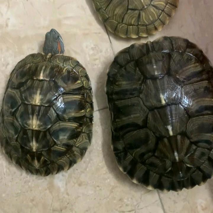 开心快乐每一天