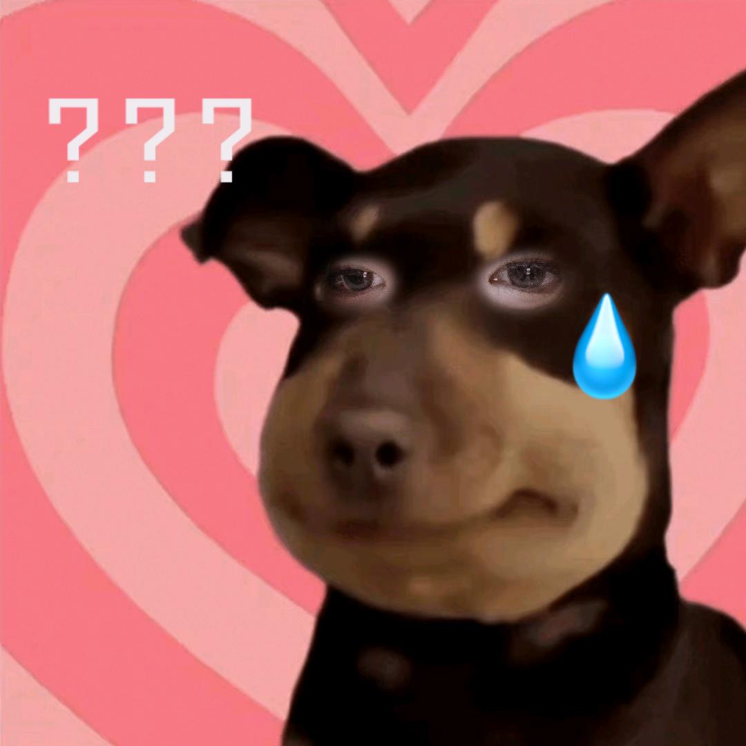 社恐.（偏爱苦情歌版）