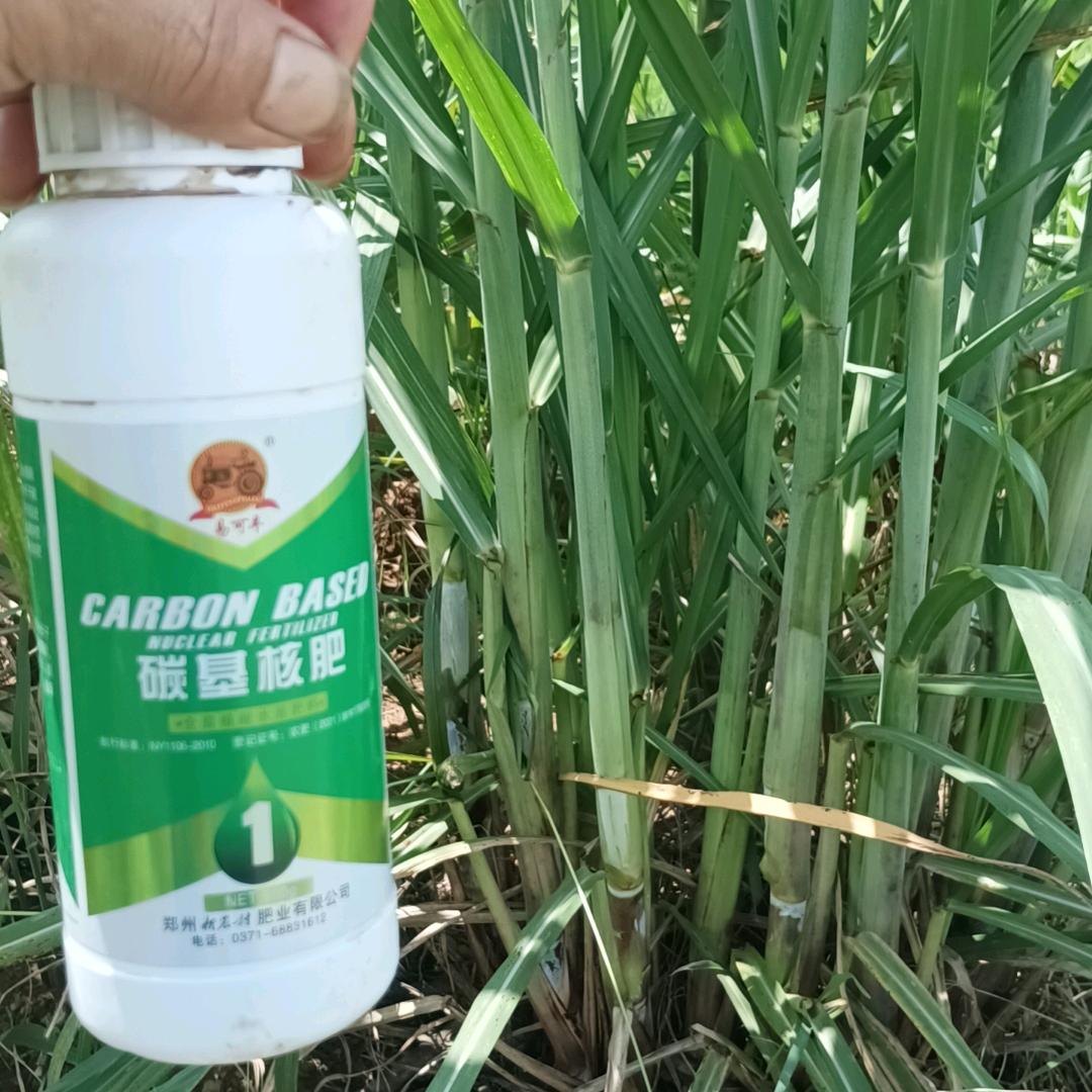 甘蔗用碳基核肥十活地保肥
