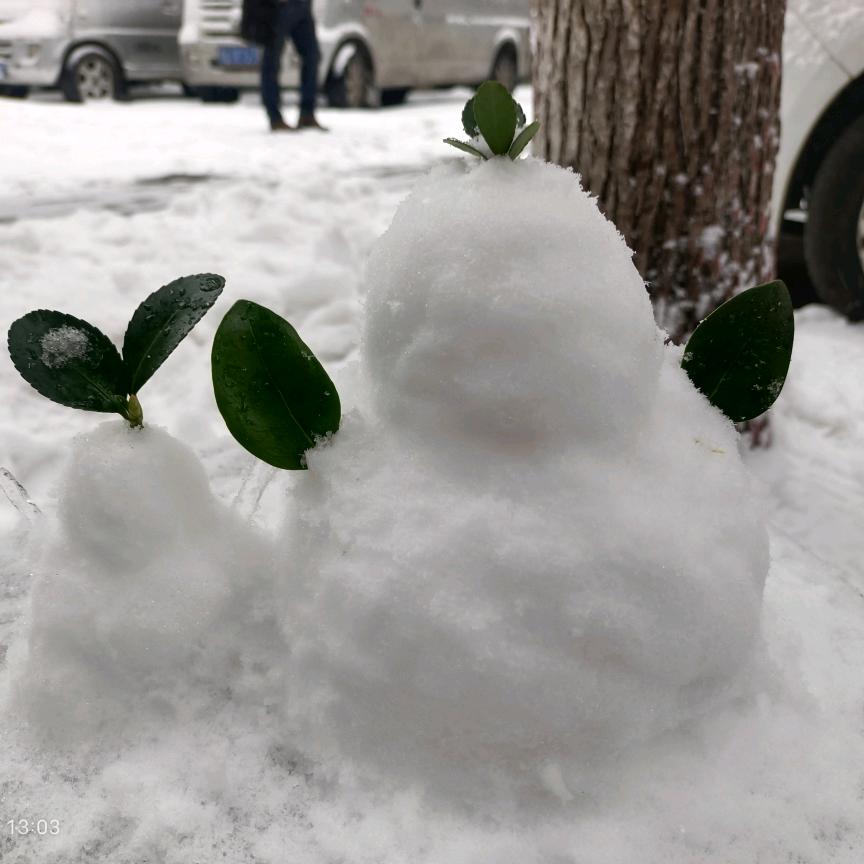 *^_^*风也失约了^O^