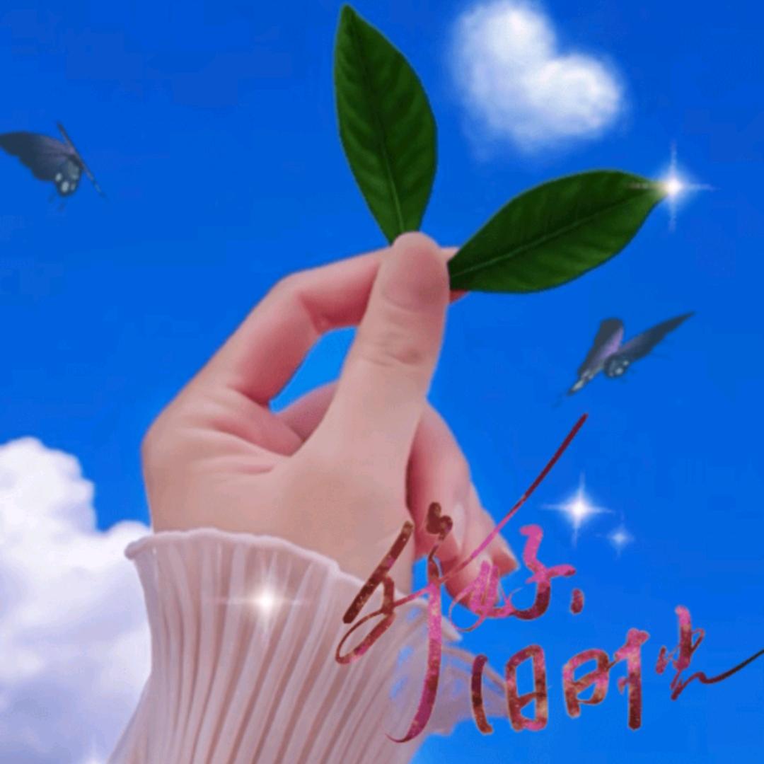 🌹物似人非🌹