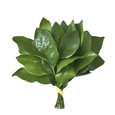 麻辣烫（好运版./）