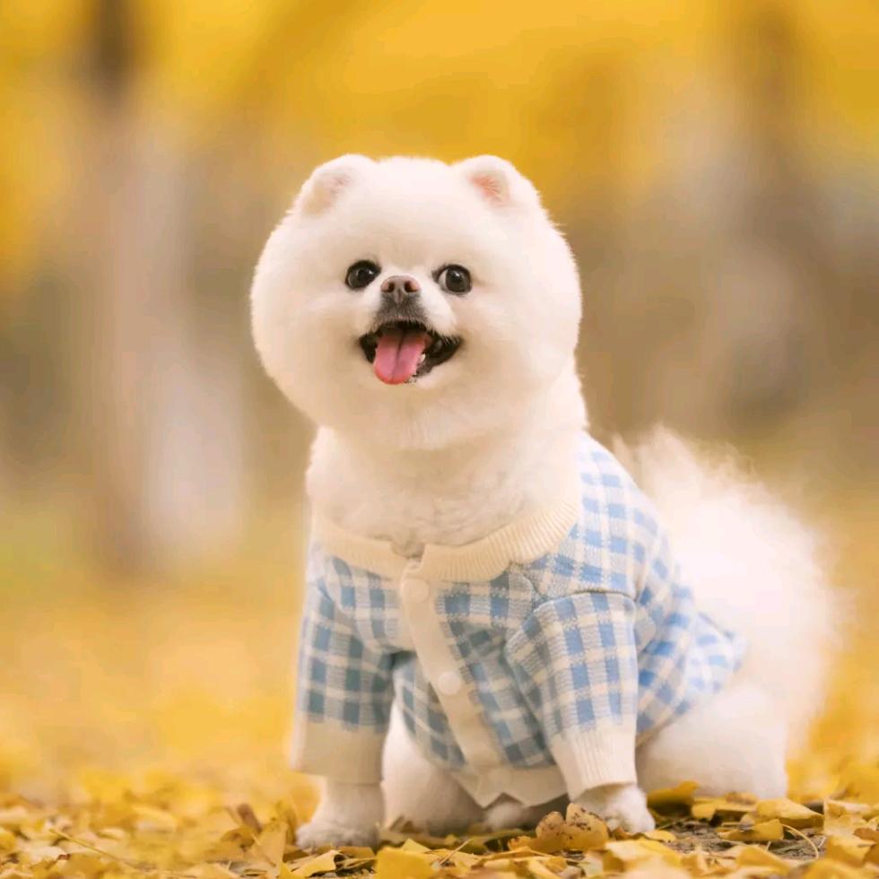 顺 其   自 然