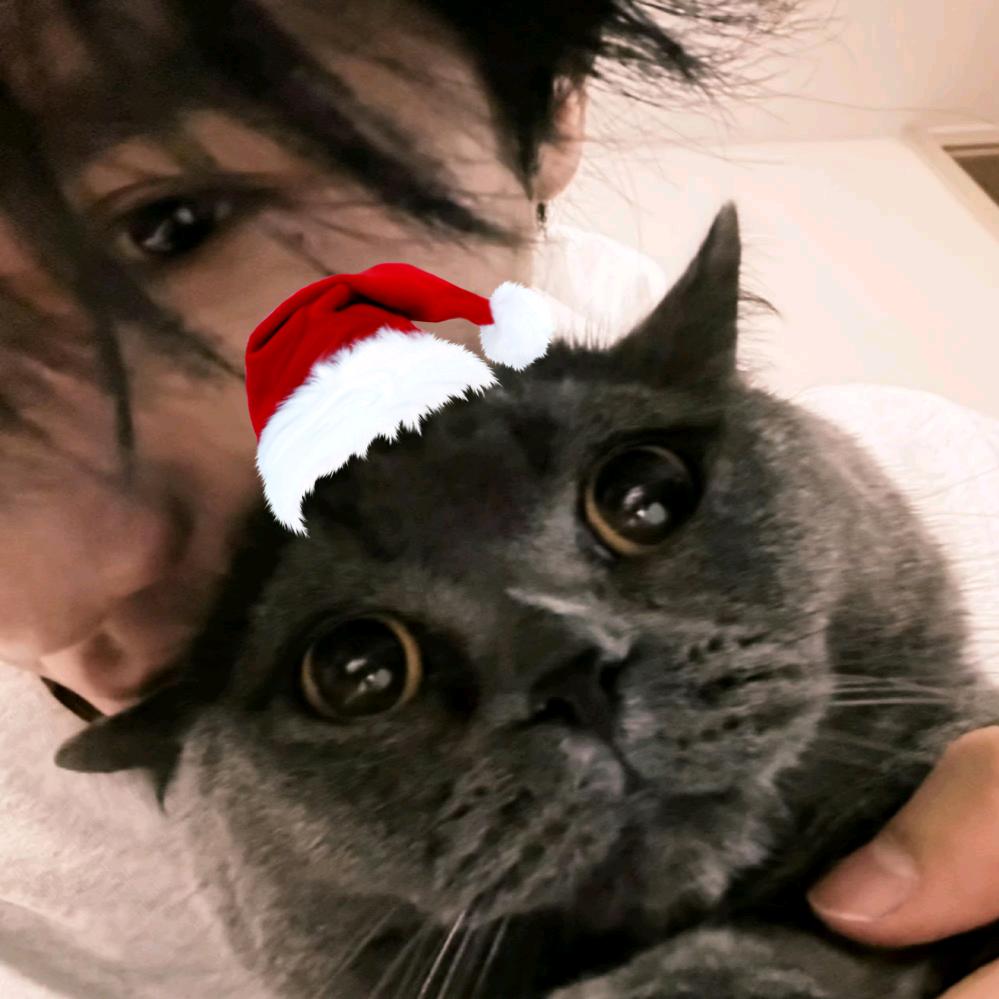 迷路的蓝牙耳机（一人一只版）