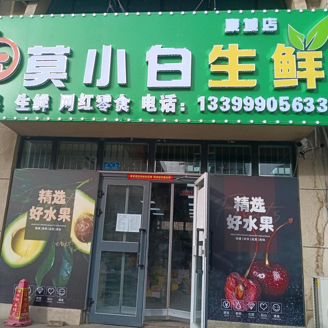 莫小白生鲜店每天直播