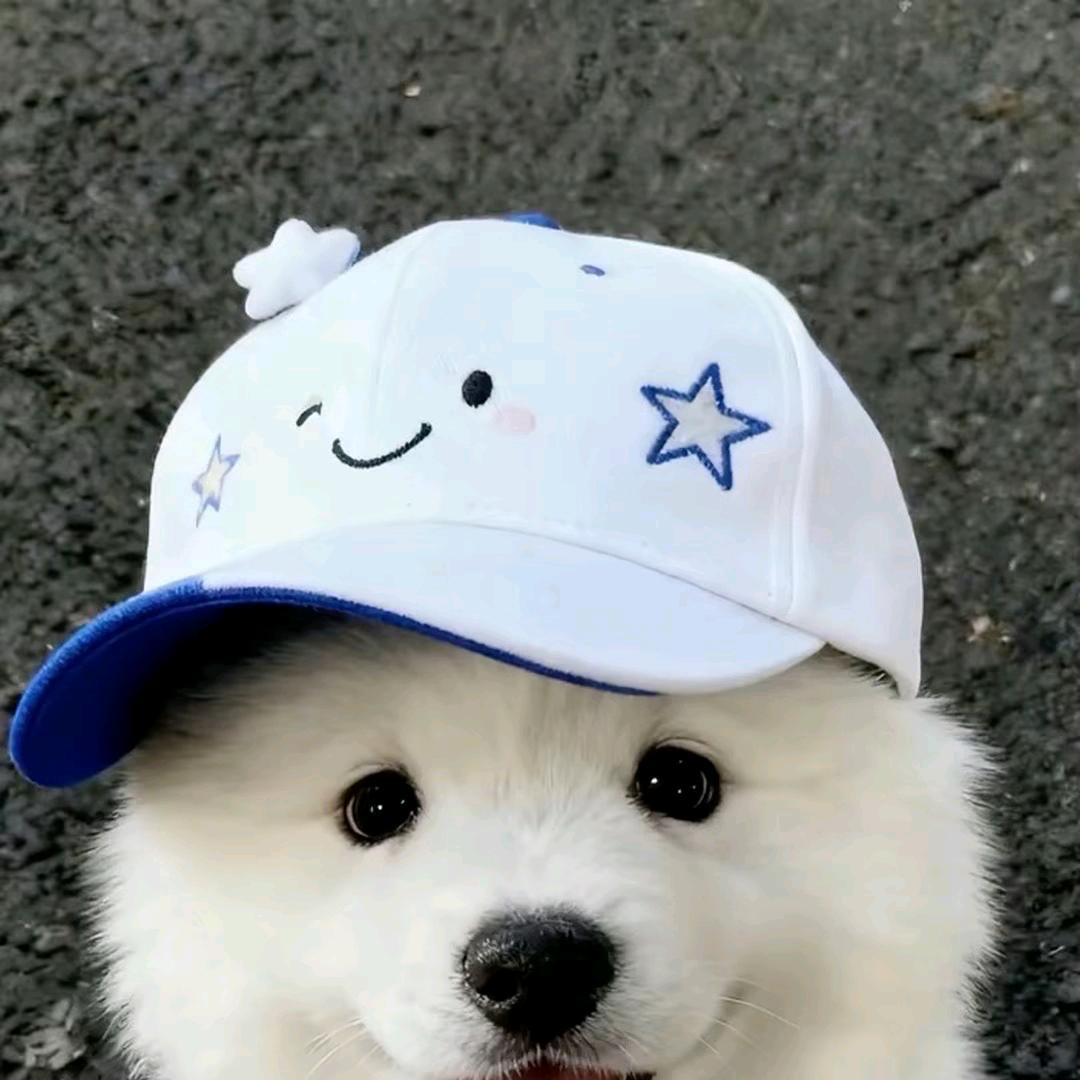 取闹