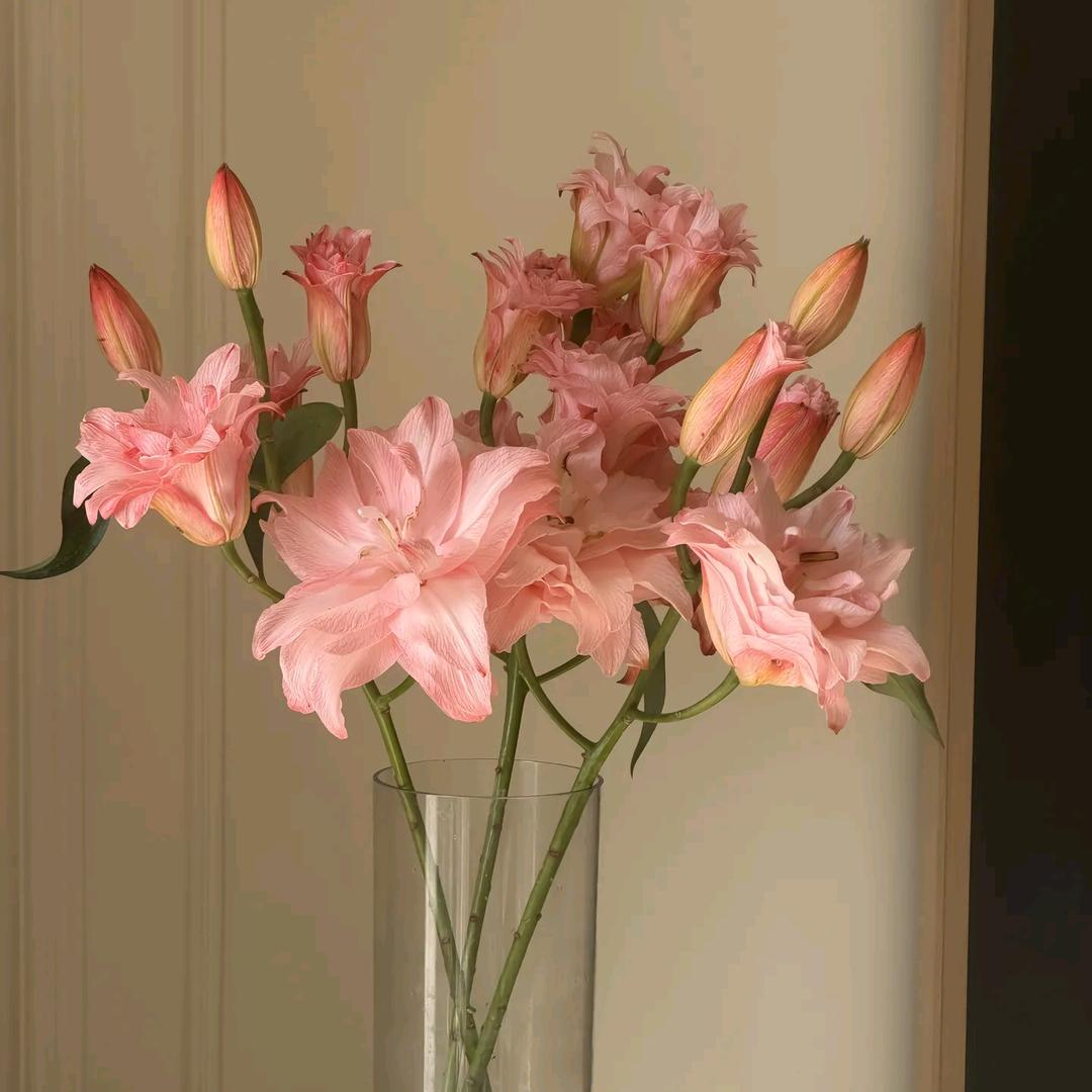 品牌好货工厂直发