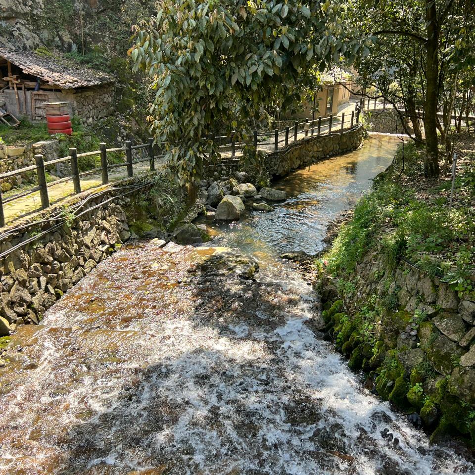 马欢欢环球游-泰国
