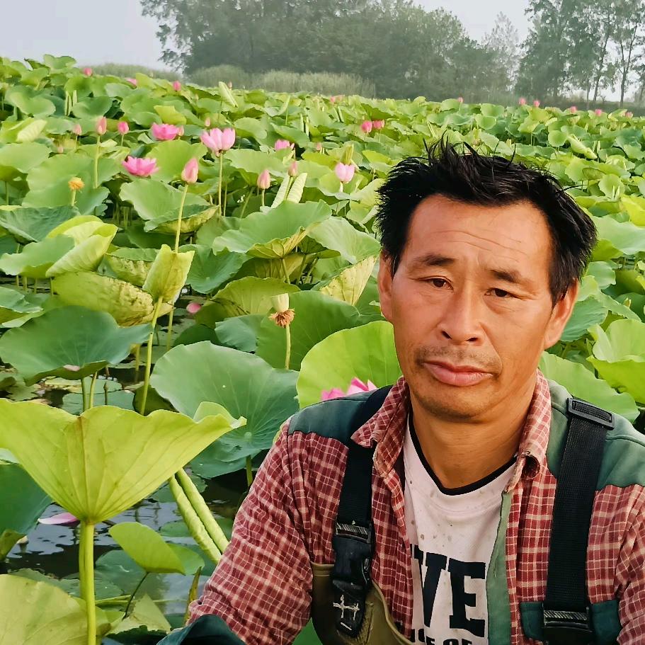 阳光花园