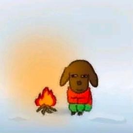 打鱼狼