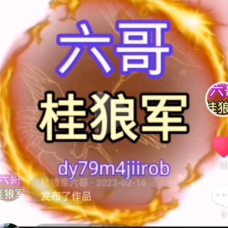 桂狼军六哥