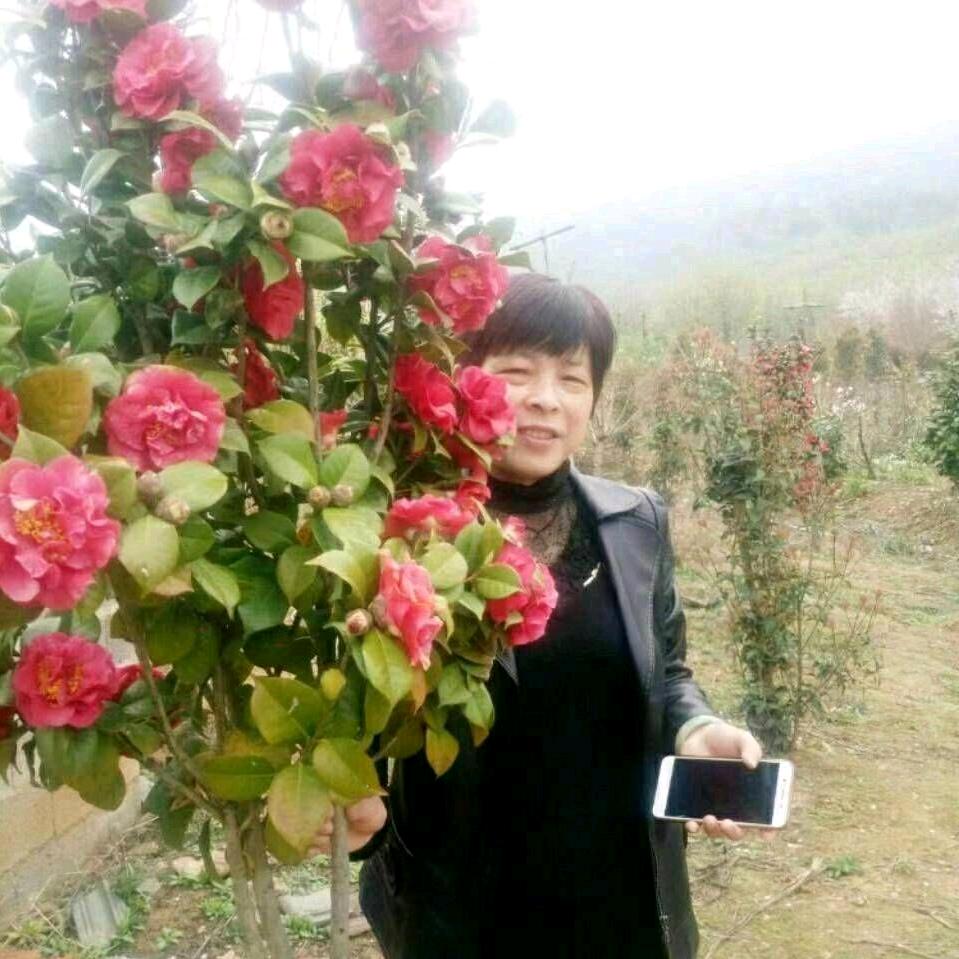 🍁落叶知秋🍁