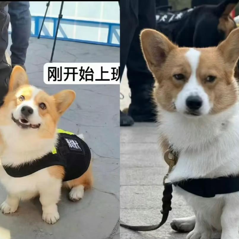 谙