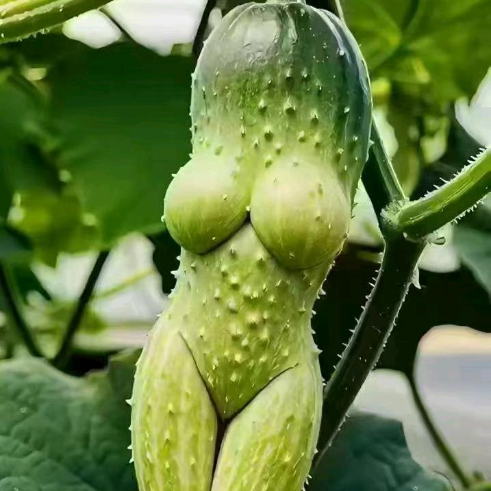 情犯罪下的果