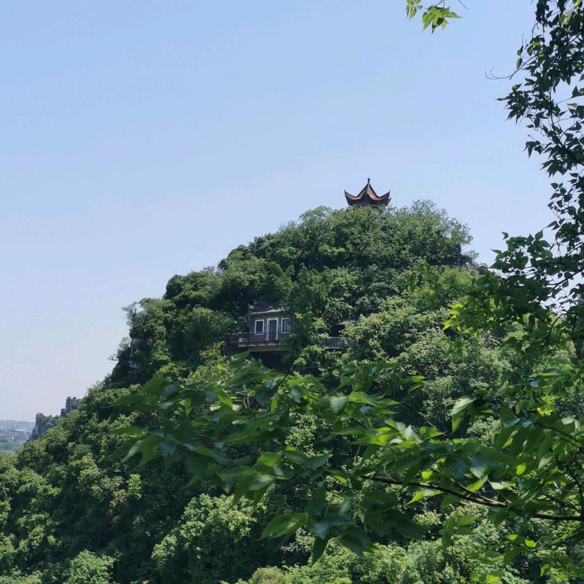 🌱小玉