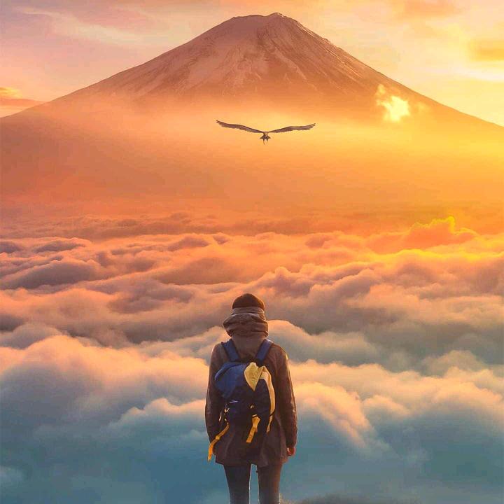 - 峰℘- ℱℯ𝓃ℊ