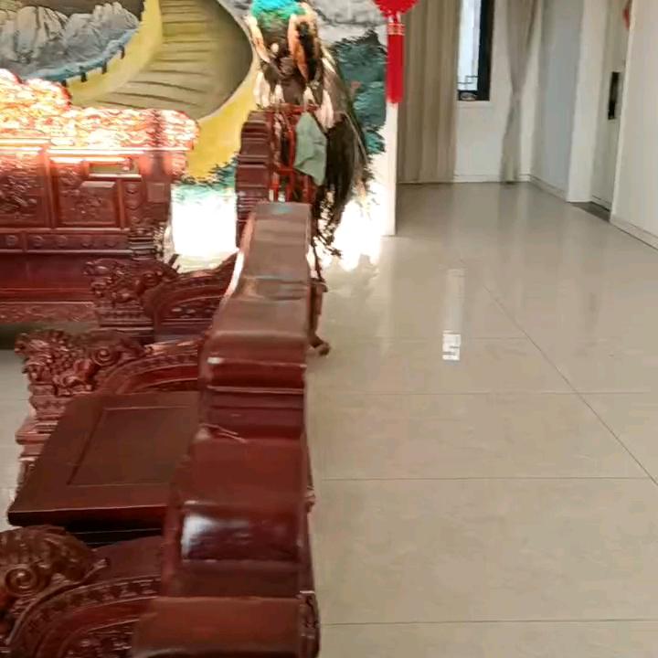 妹起飞