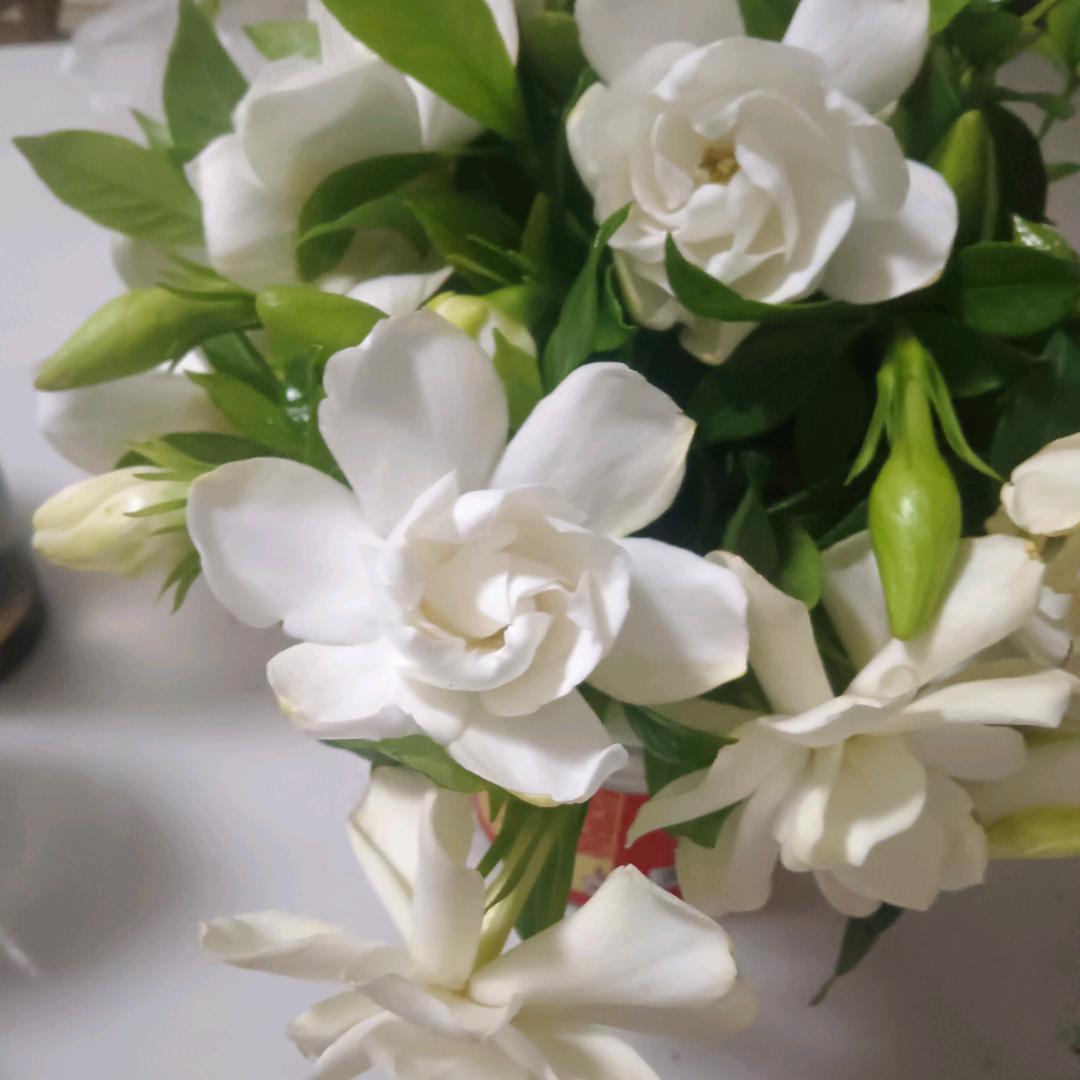 (❤期待永恒❤向二姐