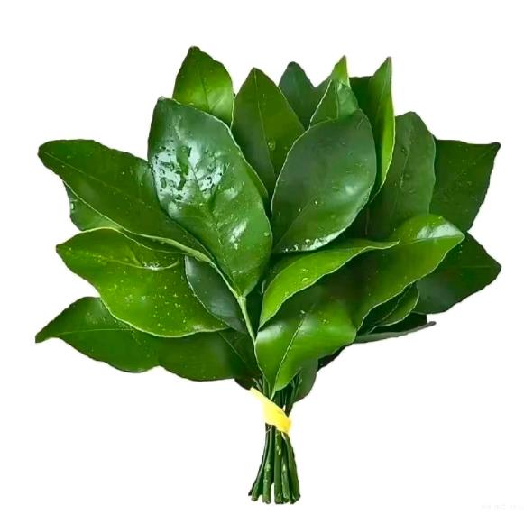 小卢（带娃中）