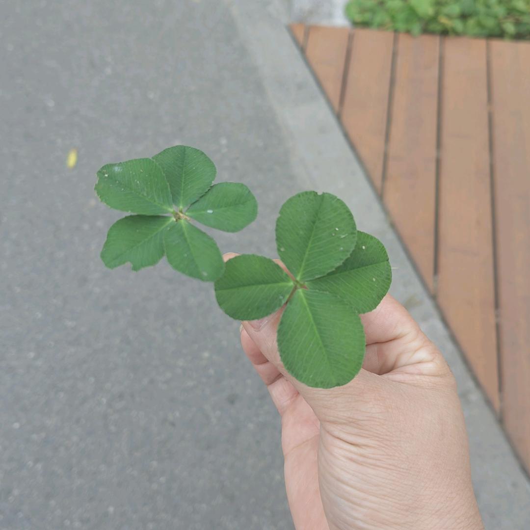 幸福