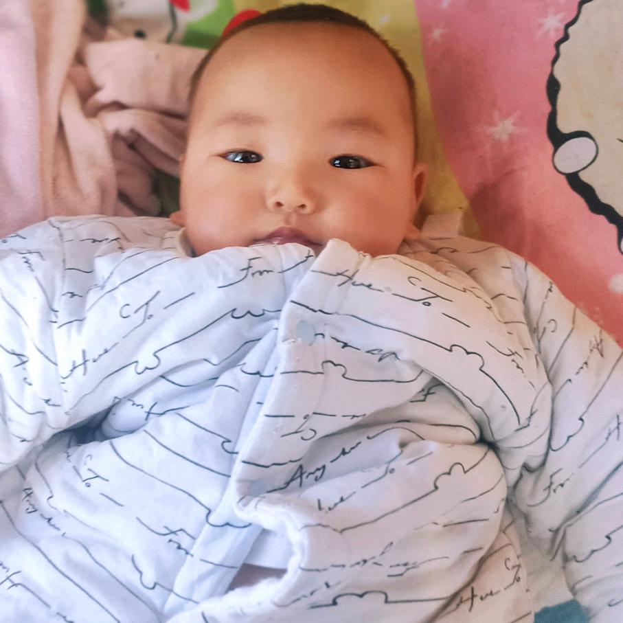 杨思情