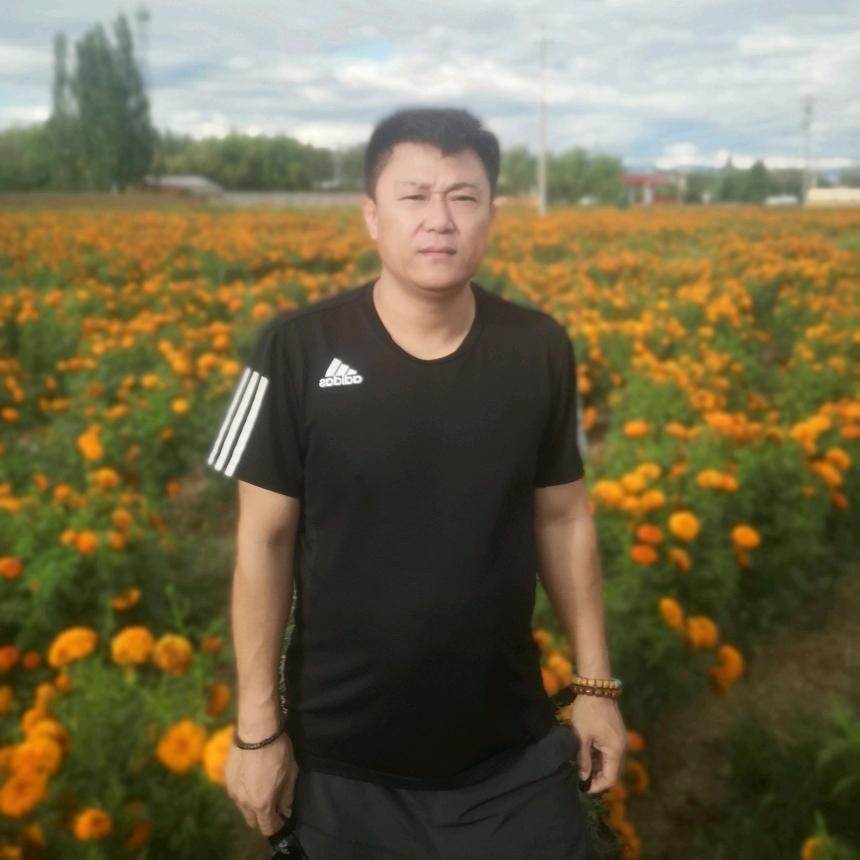 菩提花开