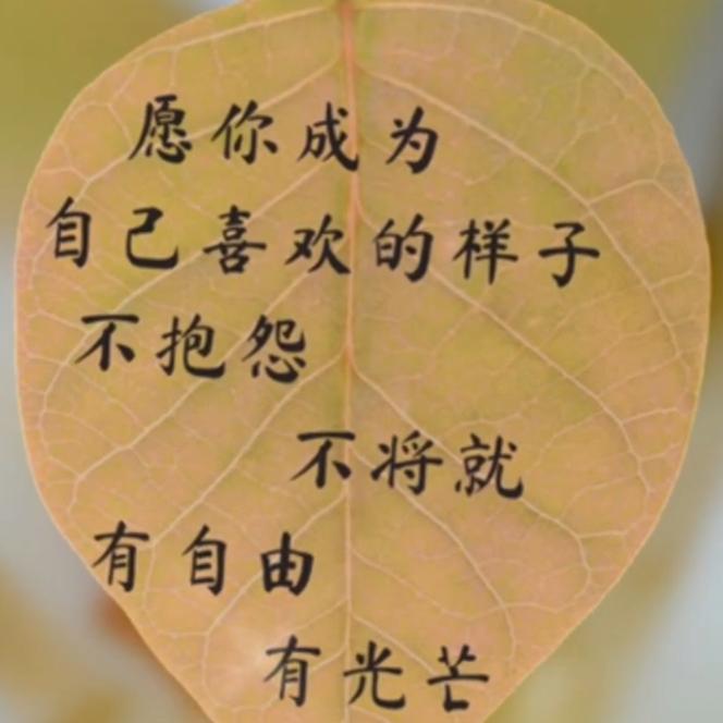 a杨杨(♥(｡￫v￩｡)♥