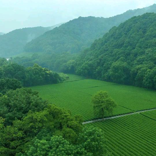 心里的伤痛有谁懂！谁会心疼！！