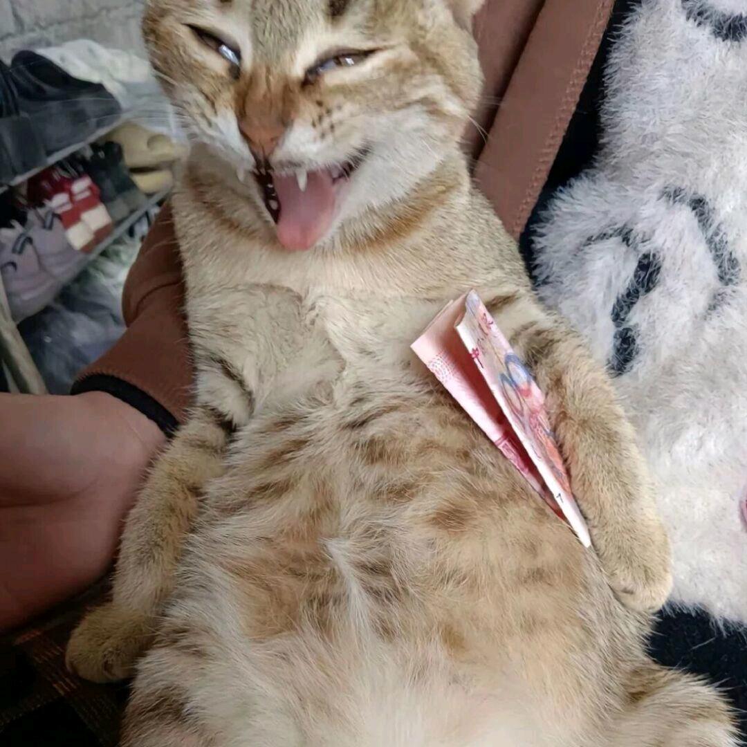 “”