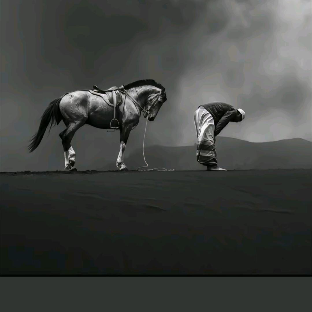 ༺十༒一༻
