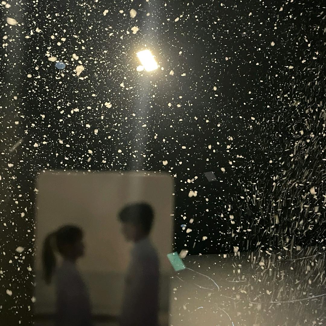 小小阿难啊