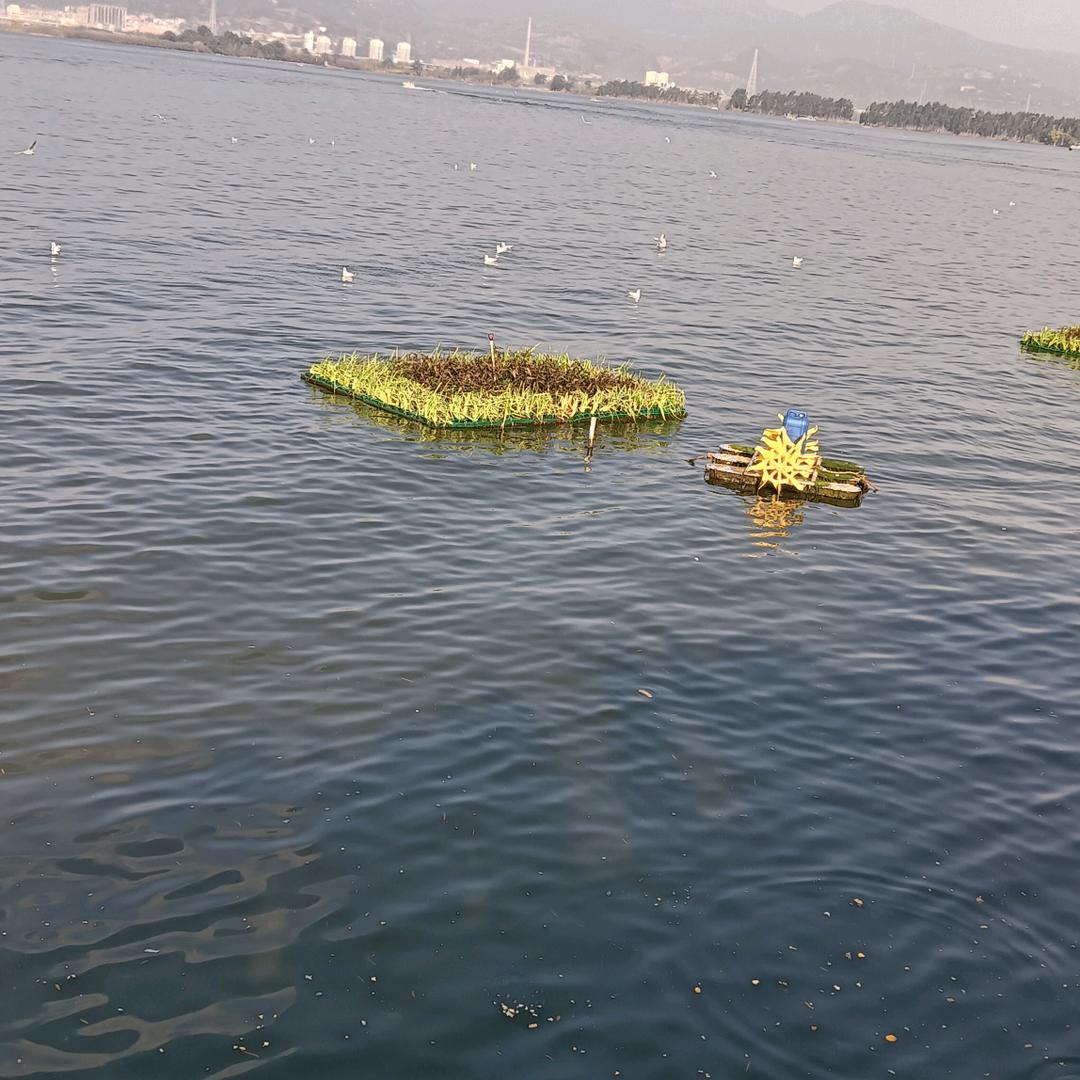 苏曼🍃生活好物推荐