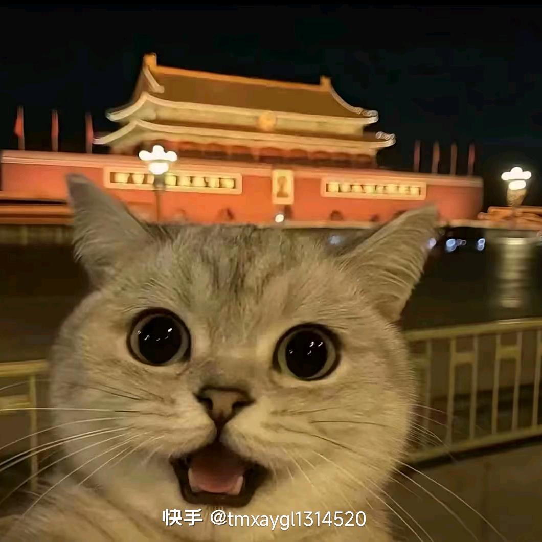 刘三斤