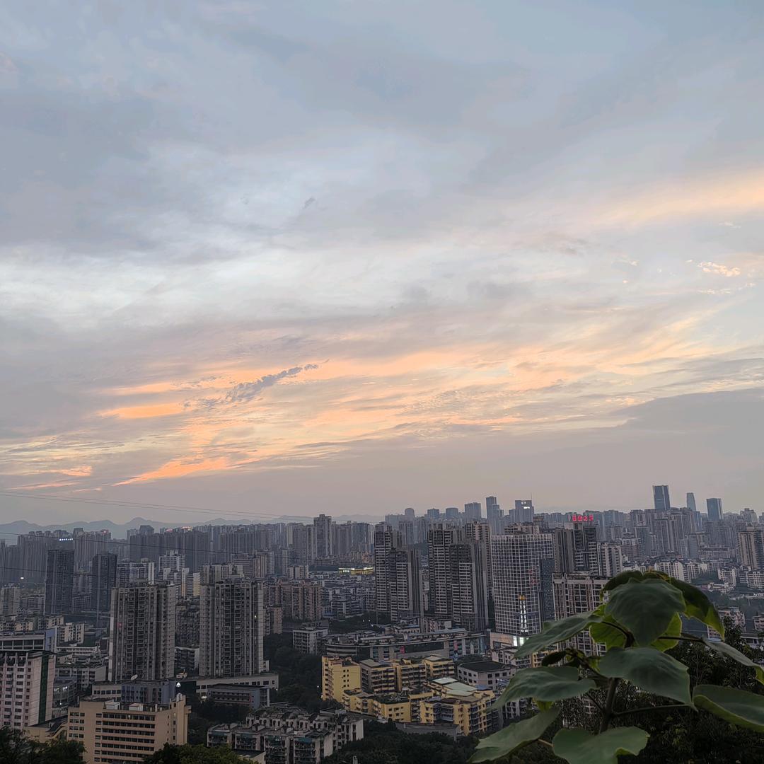 诗人和骨头