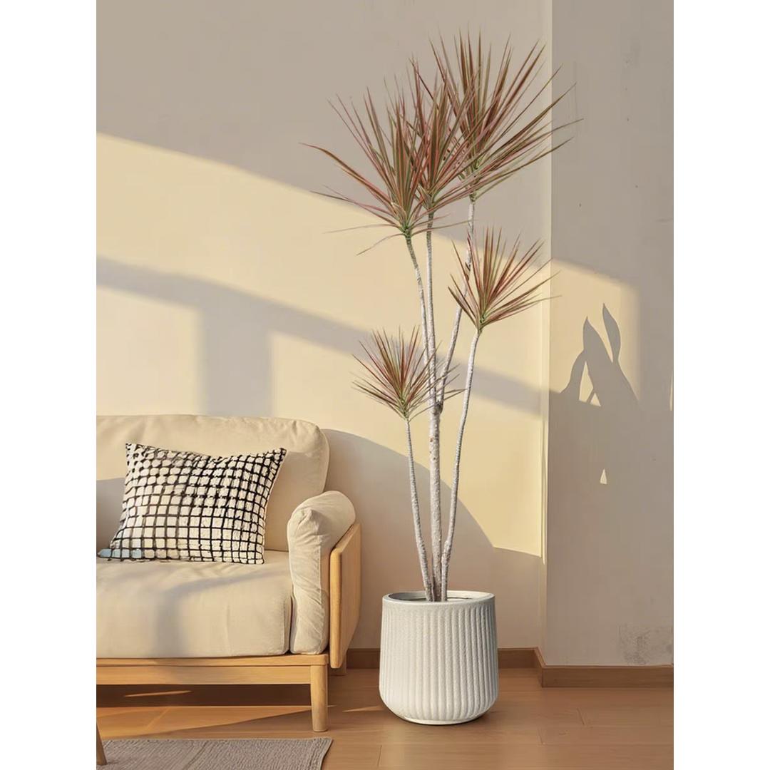 哈格吒花木优选