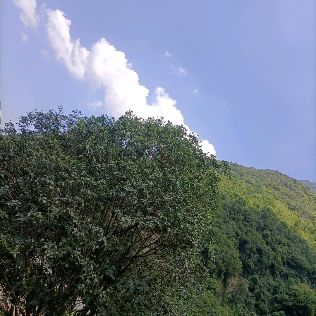 大叔时代