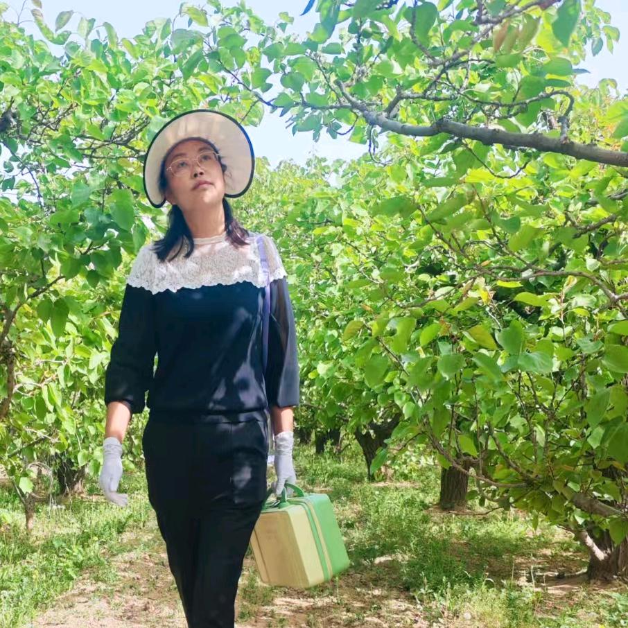 夏乐