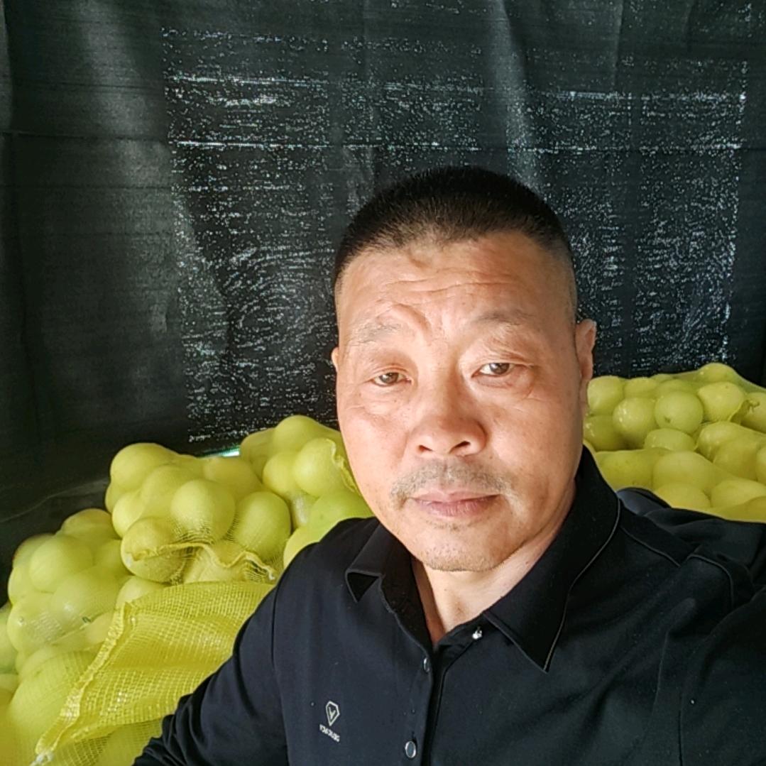 甜柚老刘